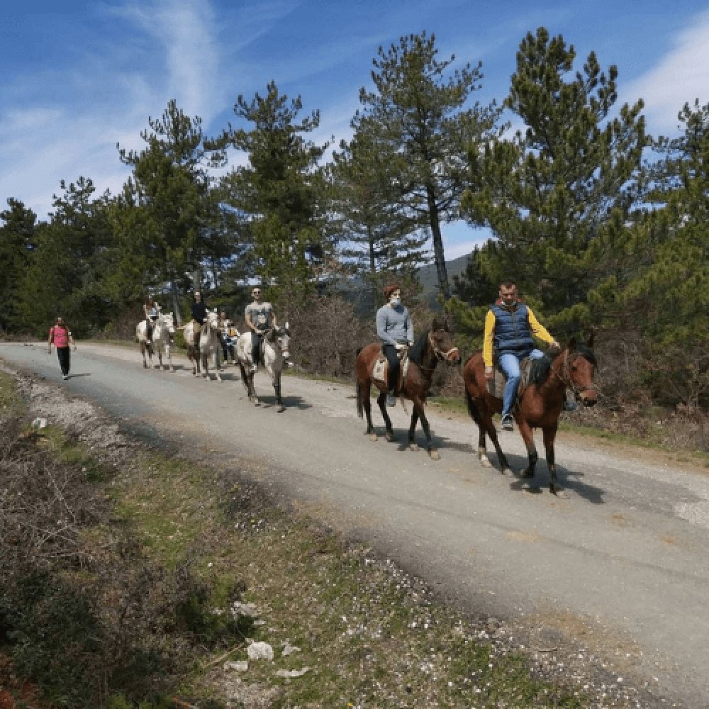 At Çiftliği Kastamonu