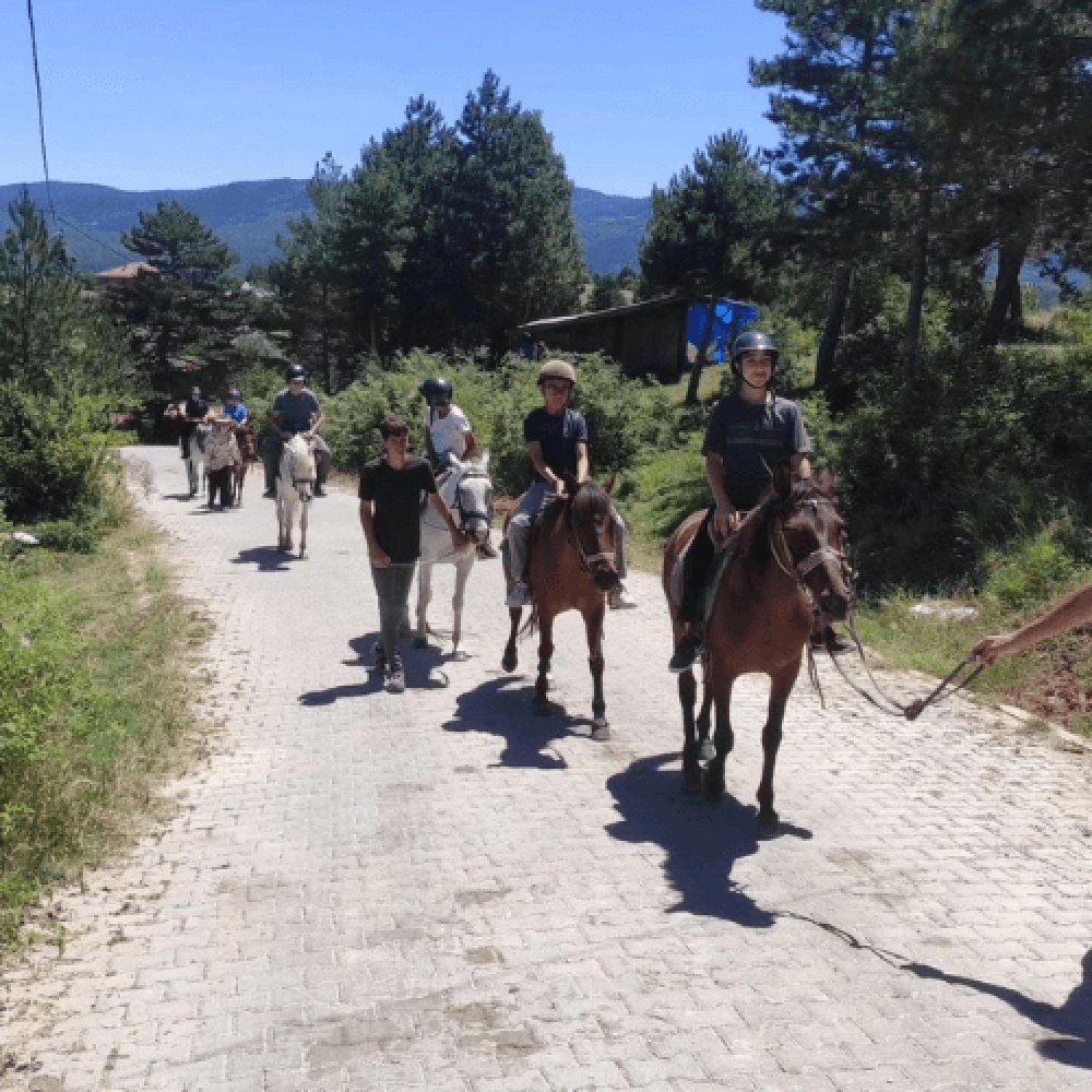 At Çiftliği Kastamonu