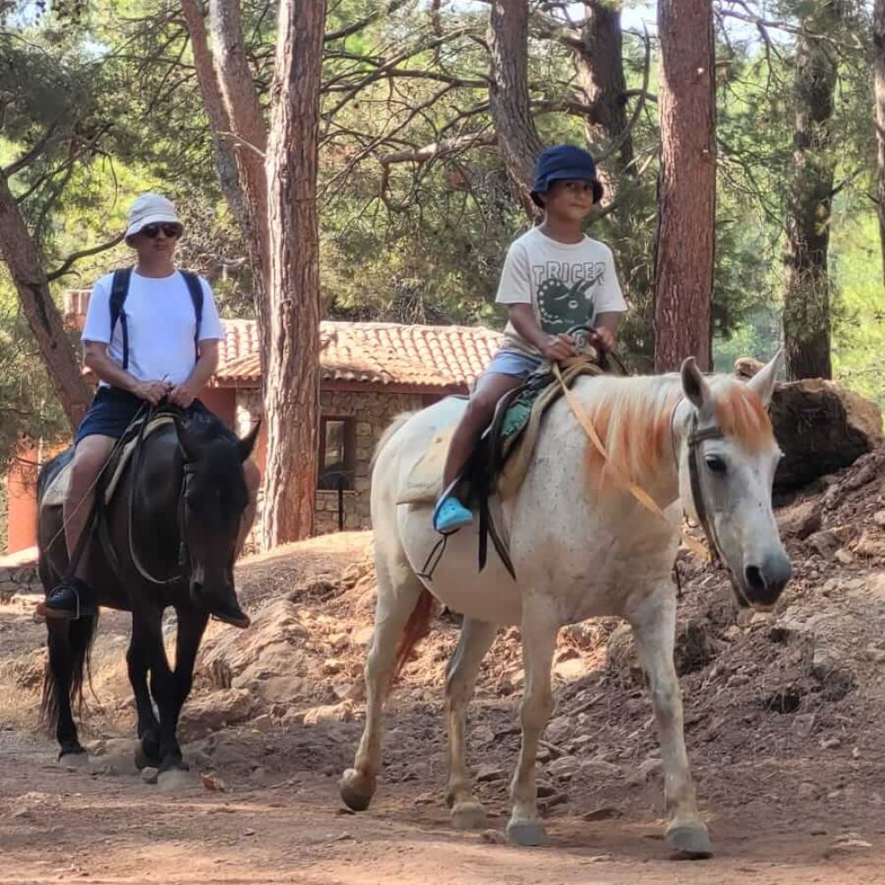 Fethiye At Binme 1 Saat