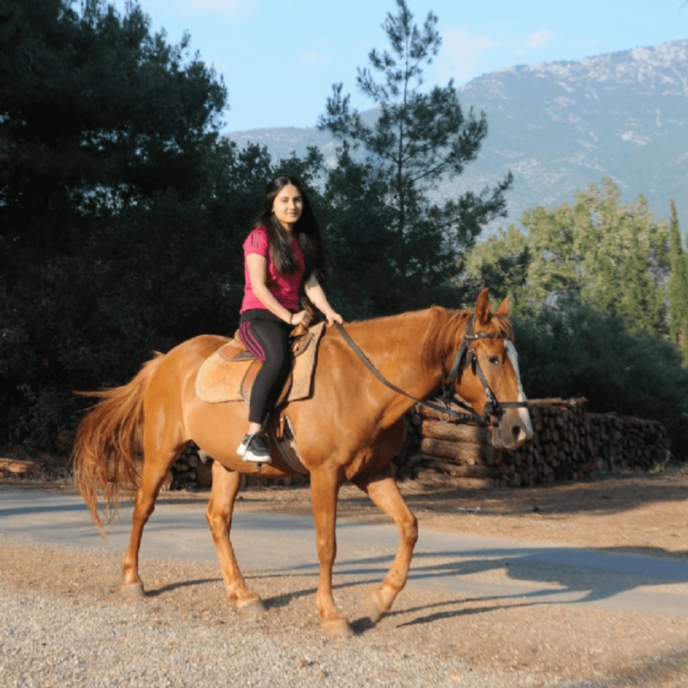 Fethiye At Turu 1 Saat