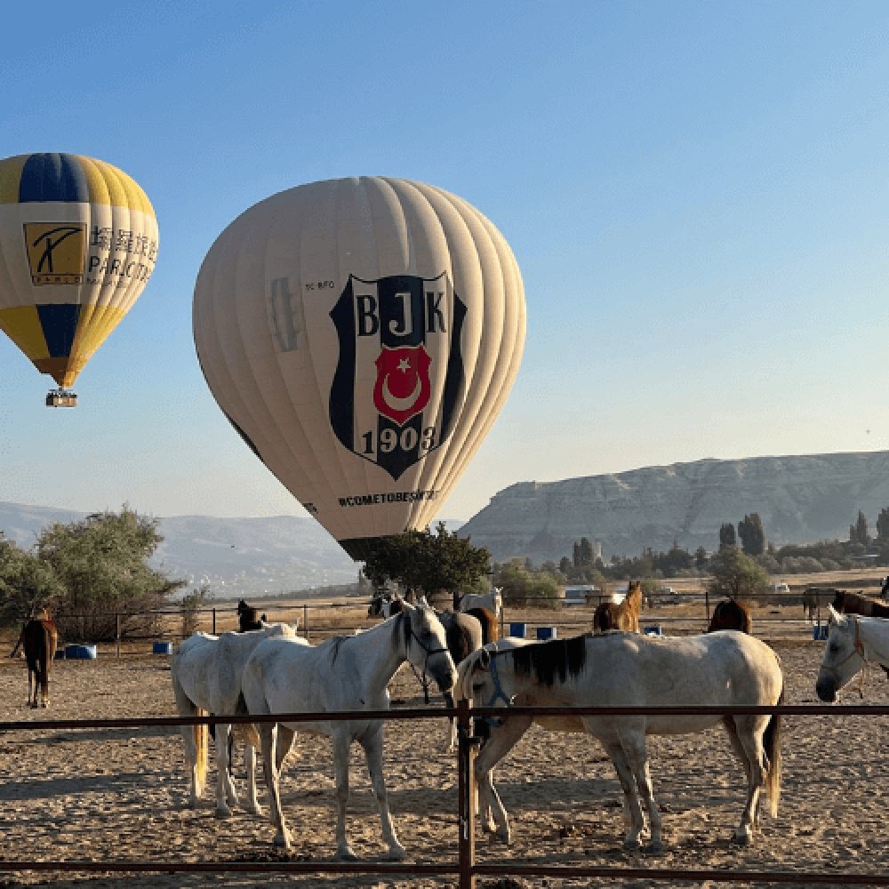 Kapadokya At Turu 1 Saat