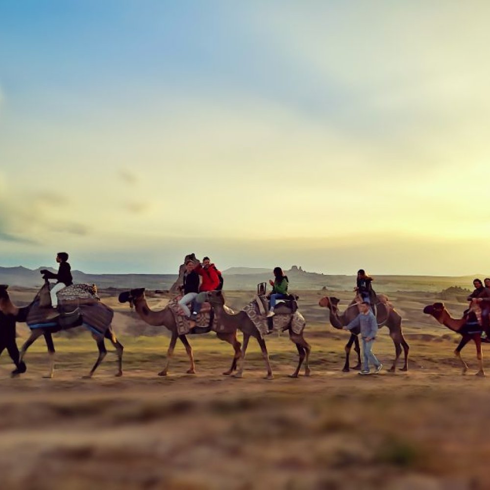 Kapadokya Deve Turu Gün Doğumu Balonlarla 1 Saat 30 Dakika