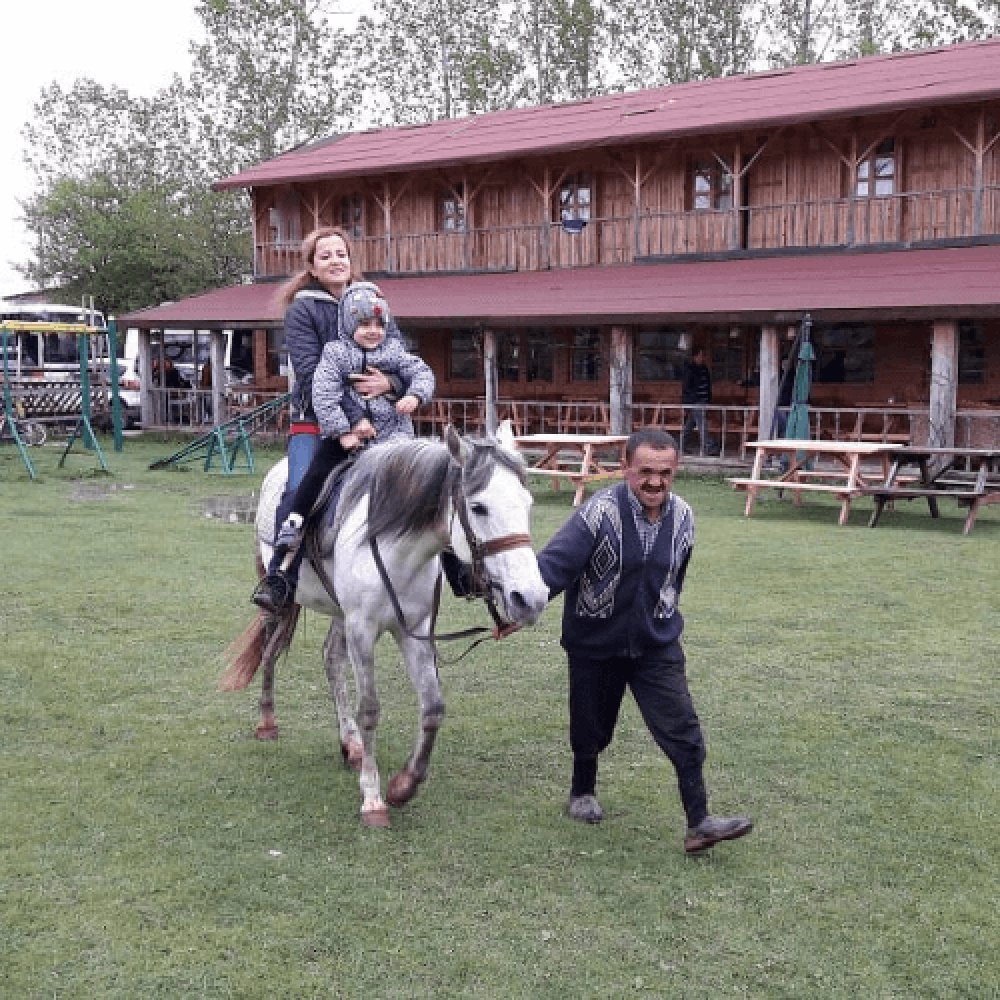 Kastamonu At Çiftliği 1 Saat Safari