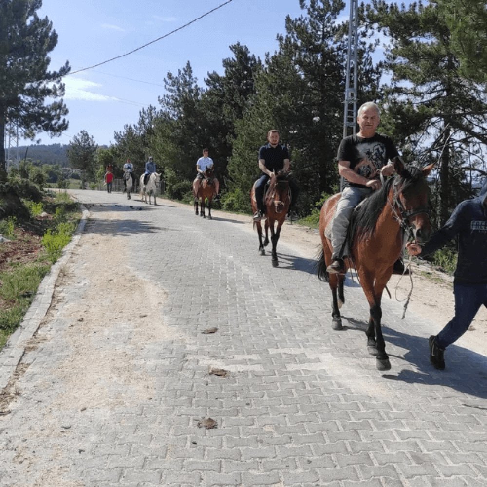 Kastamonu At Çiftliği 1 Saat Safari