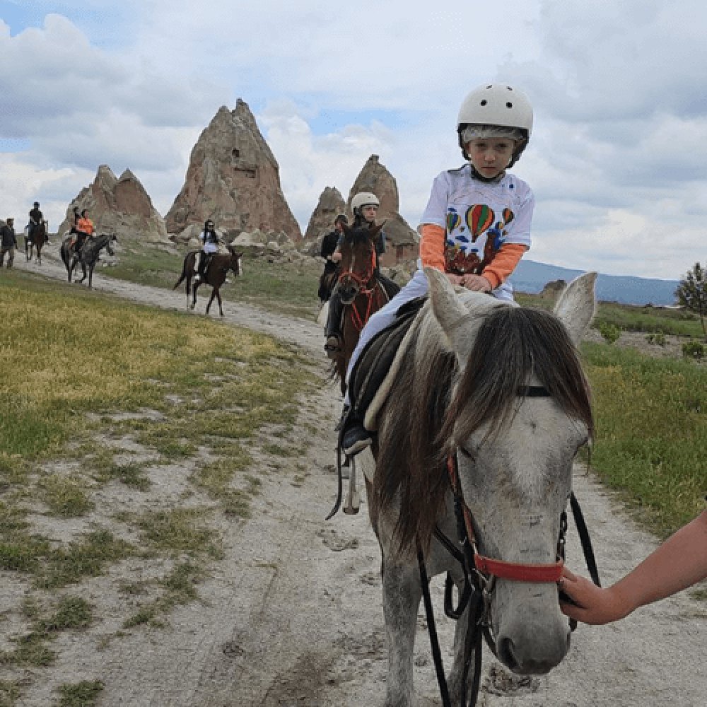Nevşehir At Çiftliği
