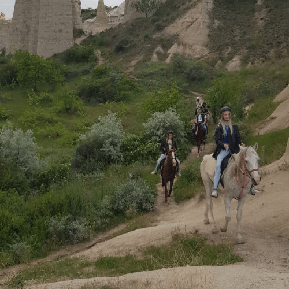 Nevşehir At Çiftliği