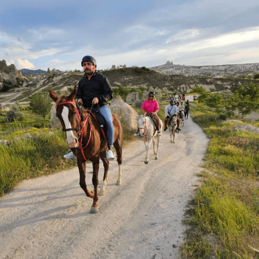 Nevşehir At Çiftliği