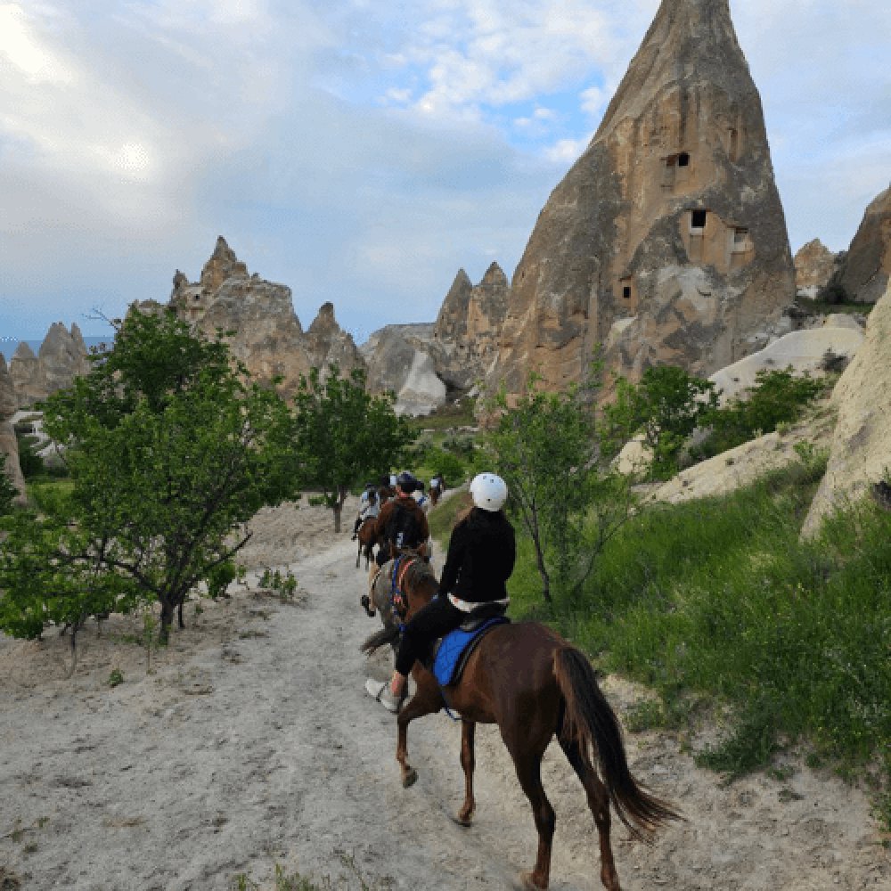 Nevşehir At Çiftliği