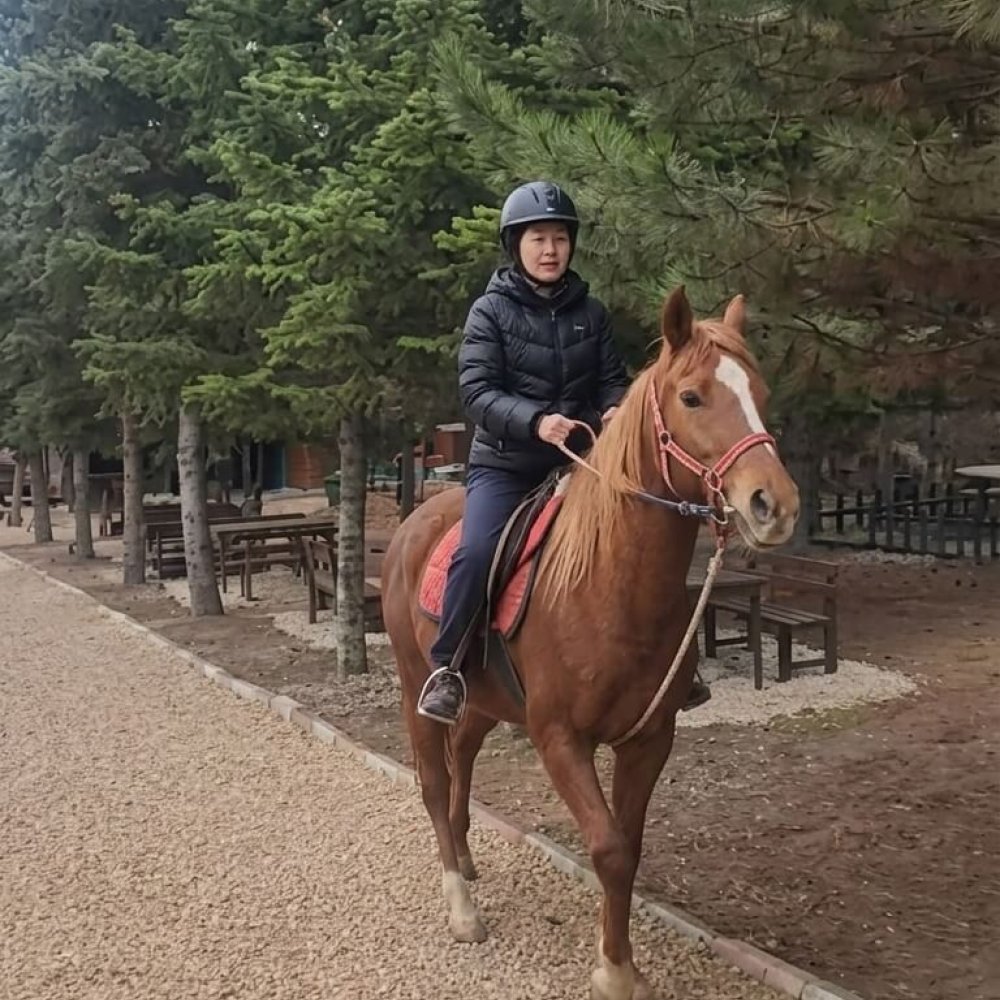 Sivas At Turu 45 Dakika