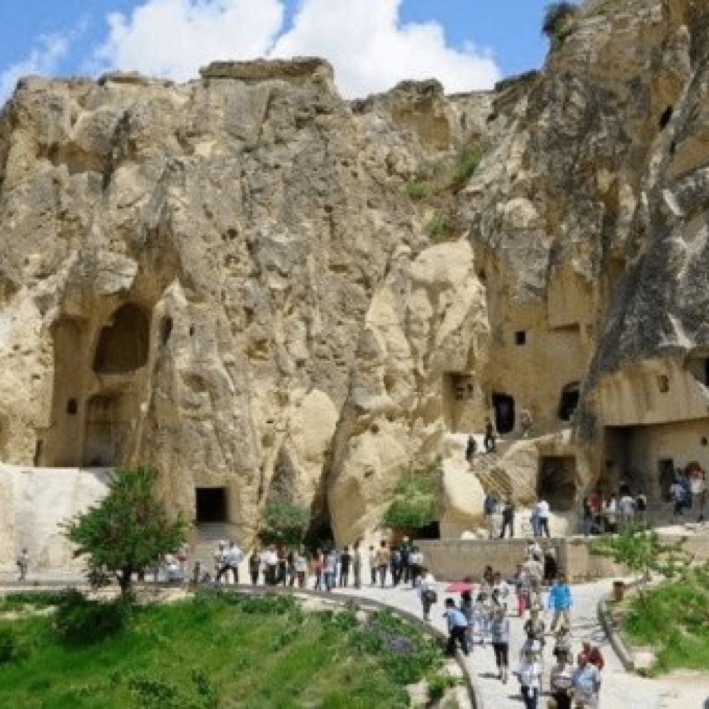 Yetişkin