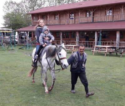 At Çiftliği Kastamonu