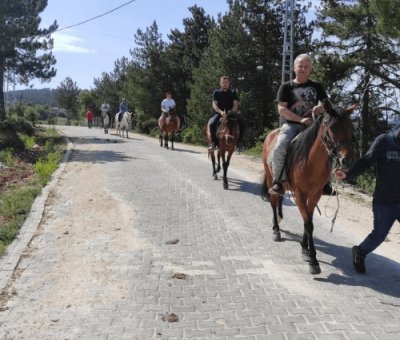 At Çiftliği Kastamonu