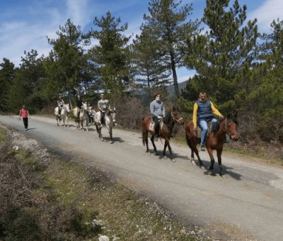 At Çiftliği Kastamonu