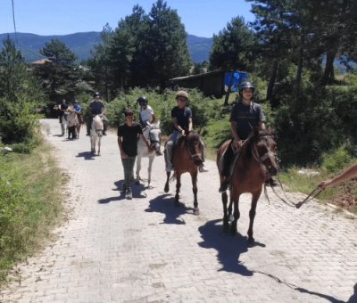 At Çiftliği Kastamonu