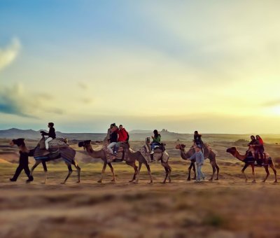 Kapadokya Deve Turu Gün Doğumu Balonlarla 1 Saat 30 Dakika