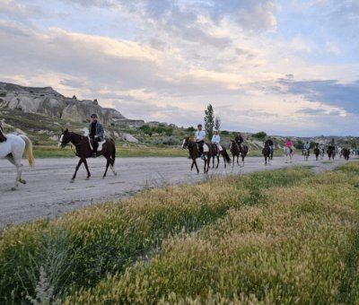 Nevşehir At Çiftliği