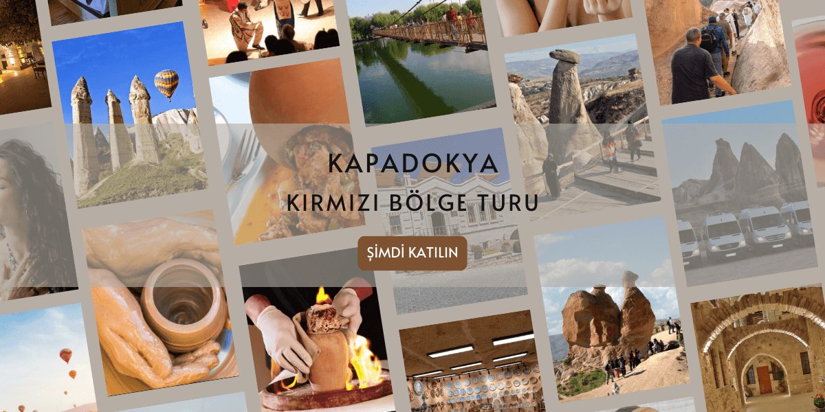 Ovizu - En Uygun Fiyat