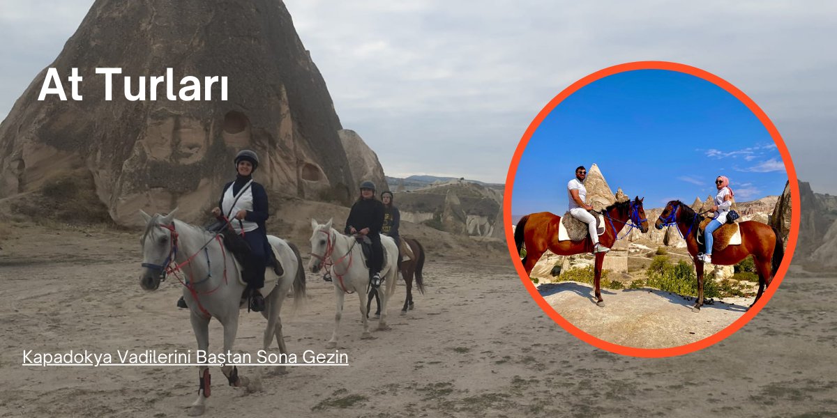 Ovizu - En Uygun Fiyat